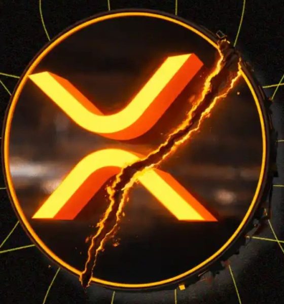 XRP SUPPLY SHOCK UPDATE (BINANCE) !!!! XRP ETFS CONFIRM FEDNOW !!!! EVERNORTH ON XRP PRICE !!!!