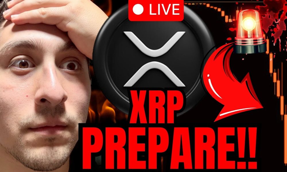 XRP NEWS CRASH LIVE NOW!!!