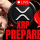 XRP NEWS CRASH LIVE NOW!!!