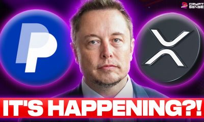 GLOBAL XRP PAYMENTS HAPPENING?!?! - Elon Musk