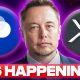 GLOBAL XRP PAYMENTS HAPPENING?!?! - Elon Musk