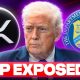 MAJOR XRP DEAL EXPOSED!!! USA & UK GOING LIVE WITH XRP??!?!