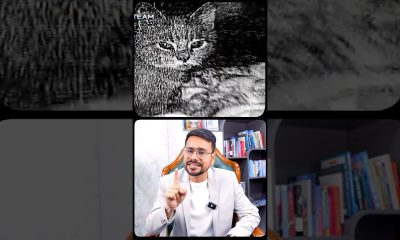 Ek CAT ne 40 Billion Dollar Dubaye!