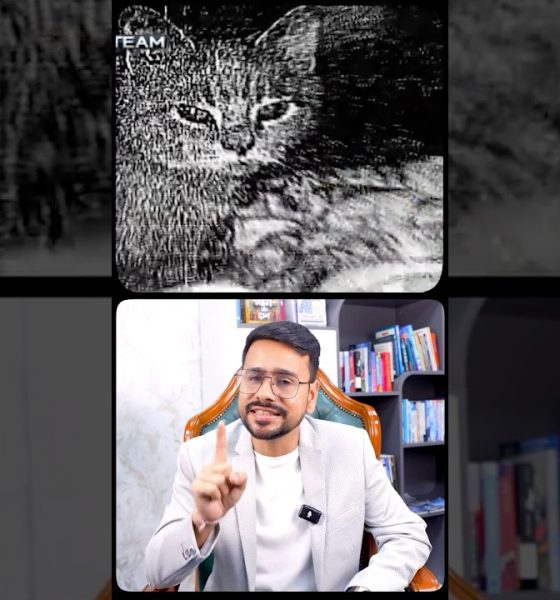 Ek CAT ne 40 Billion Dollar Dubaye!