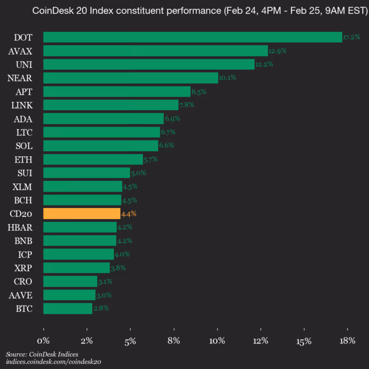 9am CoinDesk 20 Update for 2026-02-25: vertical