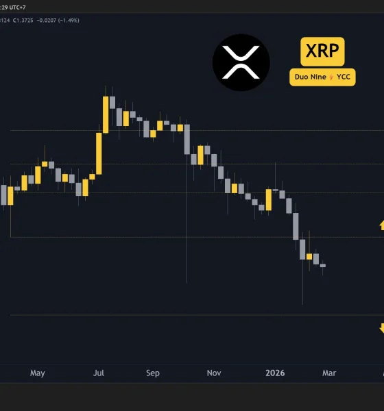 xrp_price_chart_2502261