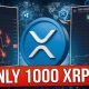 XRP REMAINS BULLISH AFTER PULLING BACK - HOW MUCH 1000 XRP COULD BE WORTH IN 2026 - XRP NEWS