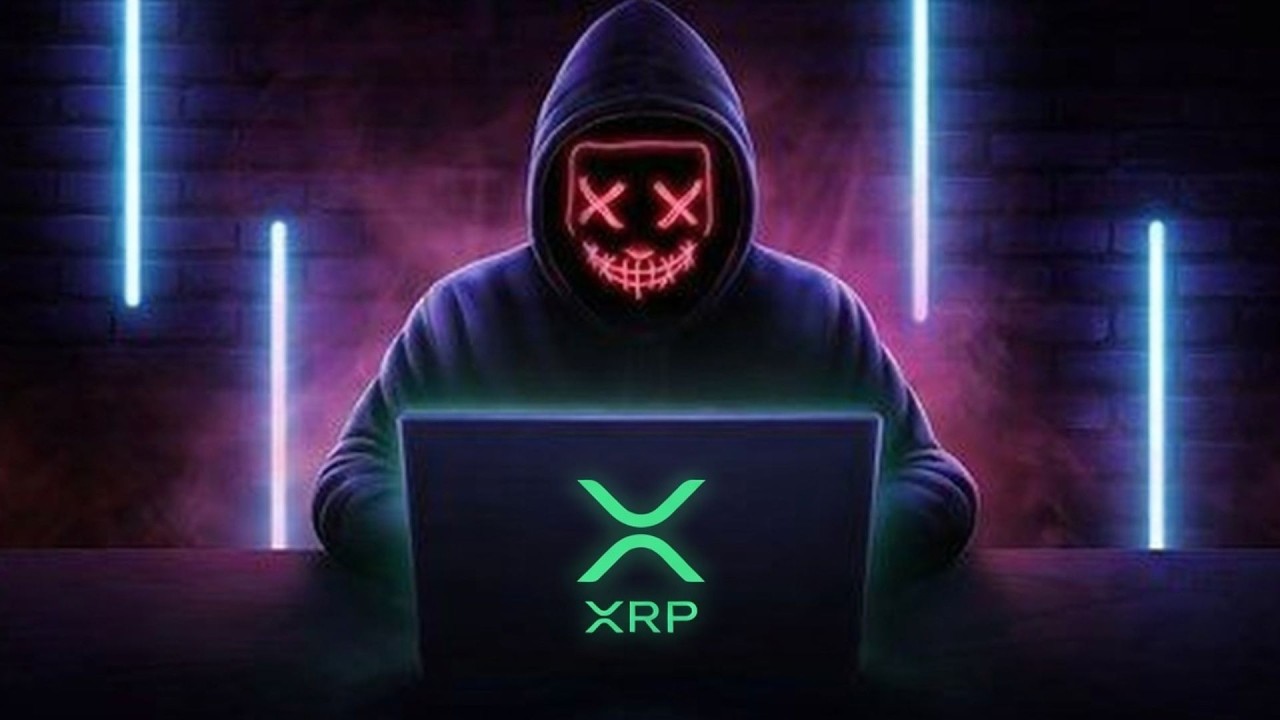 XRP MR POOL OMG OMG OMG !!!!!!