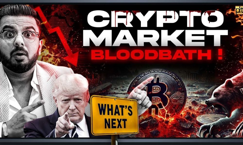 Crypto Blood Bath Reasons | Even Bigger Crash Coming?