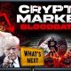 Crypto Blood Bath Reasons | Even Bigger Crash Coming?
