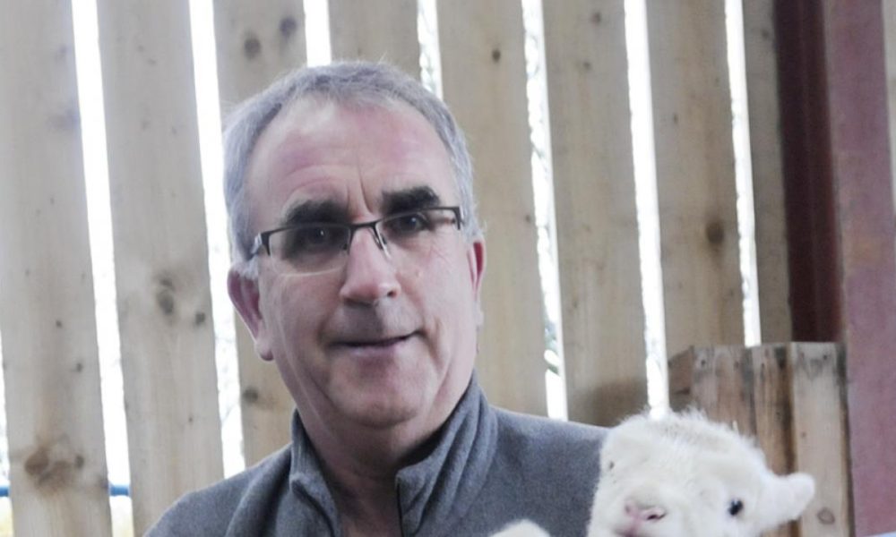 Ainsworth farmer speaks of dog attacks as livestock deaths increase