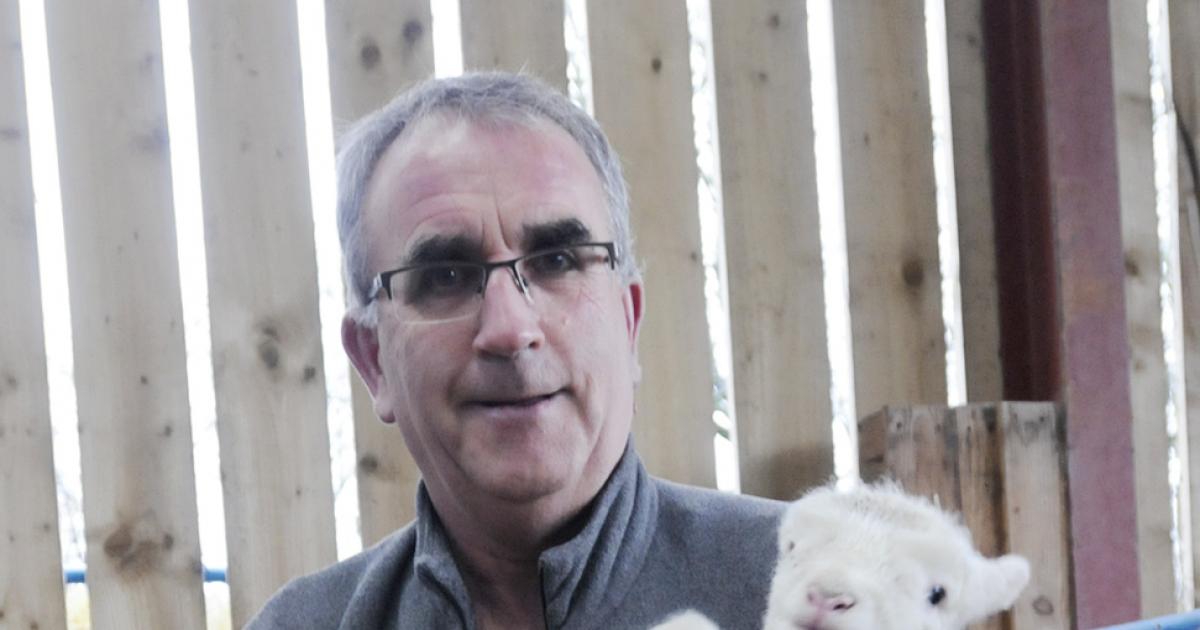 Ainsworth farmer speaks of dog attacks as livestock deaths increase