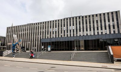 All the trees in and around Darlington to be felled this week