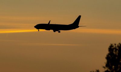 Where can you fly to from Teesside Airport for February half-term?