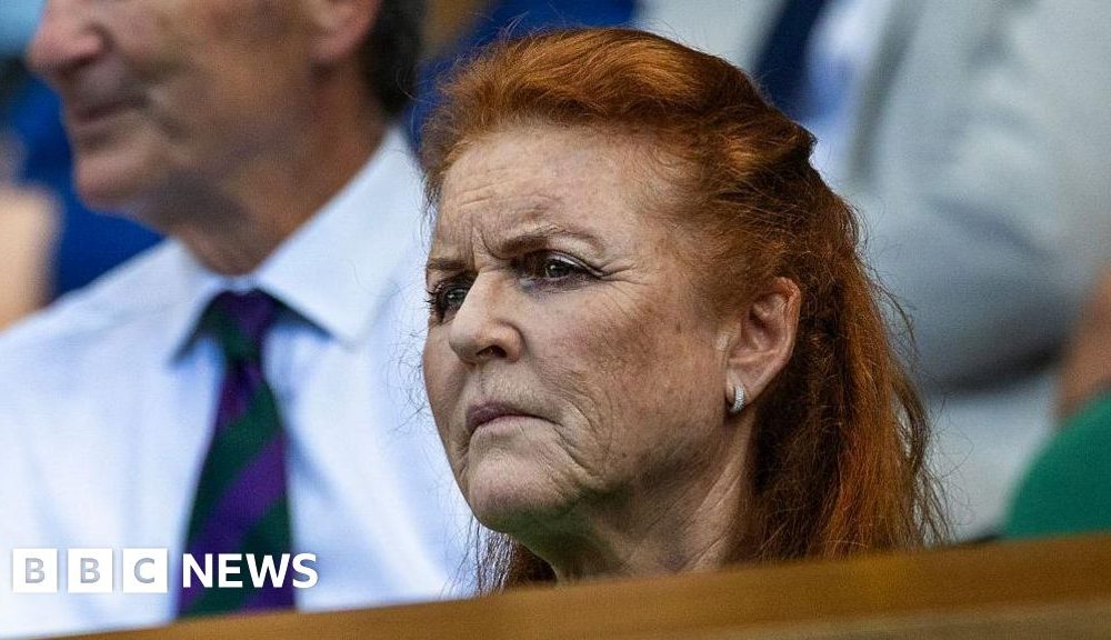 Six of Sarah Ferguson's companies are being dissolved