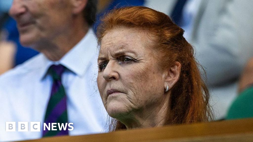 Six of Sarah Ferguson's companies are being dissolved
