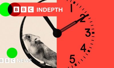 In the AI gold rush, tech firms are embracing 72-hour weeks