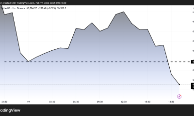 Bitcoin price Performance.