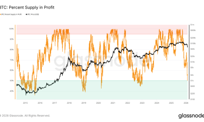 Bitcoin Supply In Profit