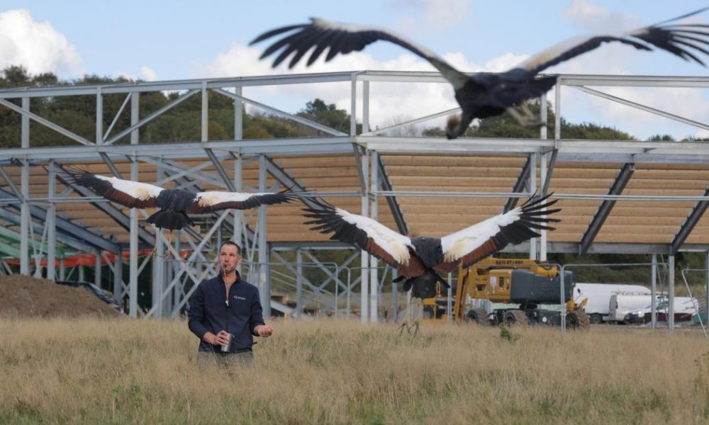 Kynren's Lost Feather bird show arena set for Bishop Auckland