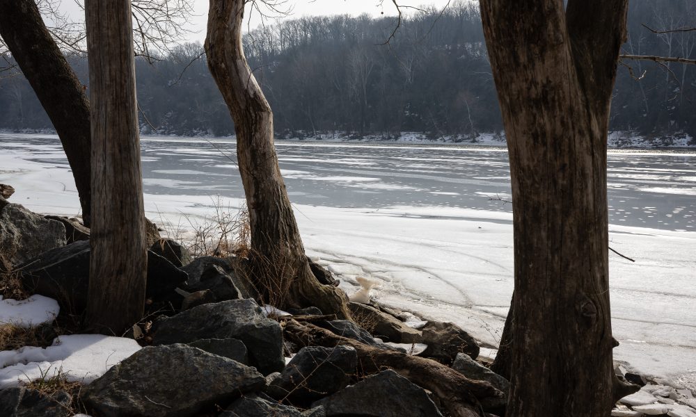 Trump fixates on sewage, a favored talking point, in fight with Wes Moore