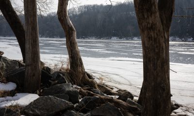 Trump fixates on sewage, a favored talking point, in fight with Wes Moore