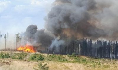 MPs infuriated by finding of what caused Langdale Moor fire
