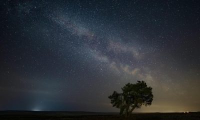 The best locations for stargazing across Yorkshire