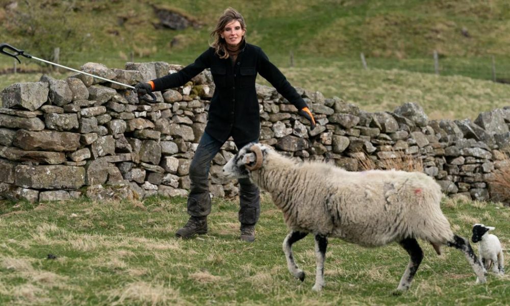 Amanda Owen The Yorkshire Shepherdess Our Farm Next Door Q&A
