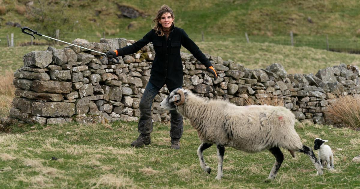 Amanda Owen The Yorkshire Shepherdess Our Farm Next Door Q&A