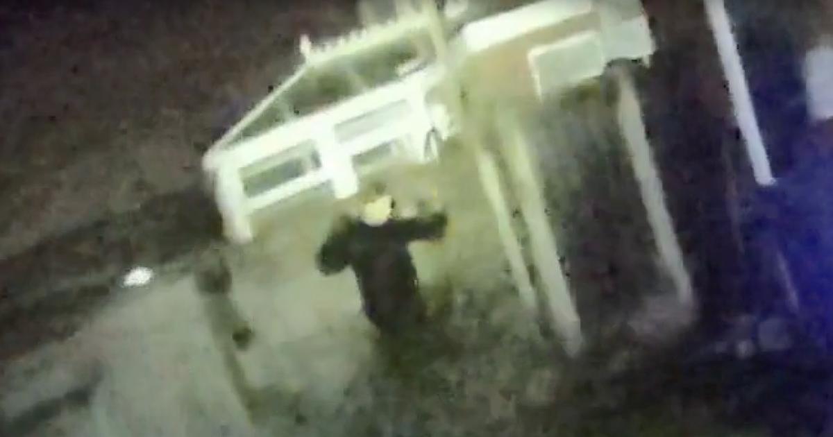 Police officer and police dog make 2 arrests in Hindley Green