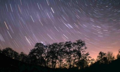 'Endurance and wonder' - Dark Sky Run set for Kielder Forest