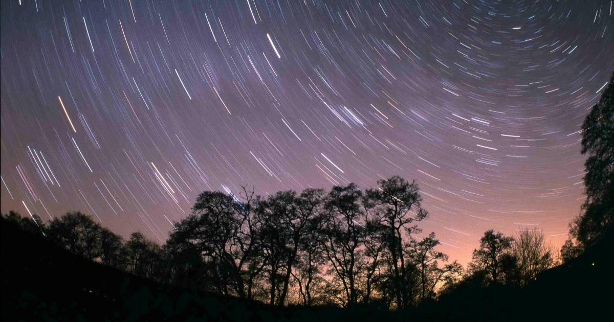 'Endurance and wonder' - Dark Sky Run set for Kielder Forest