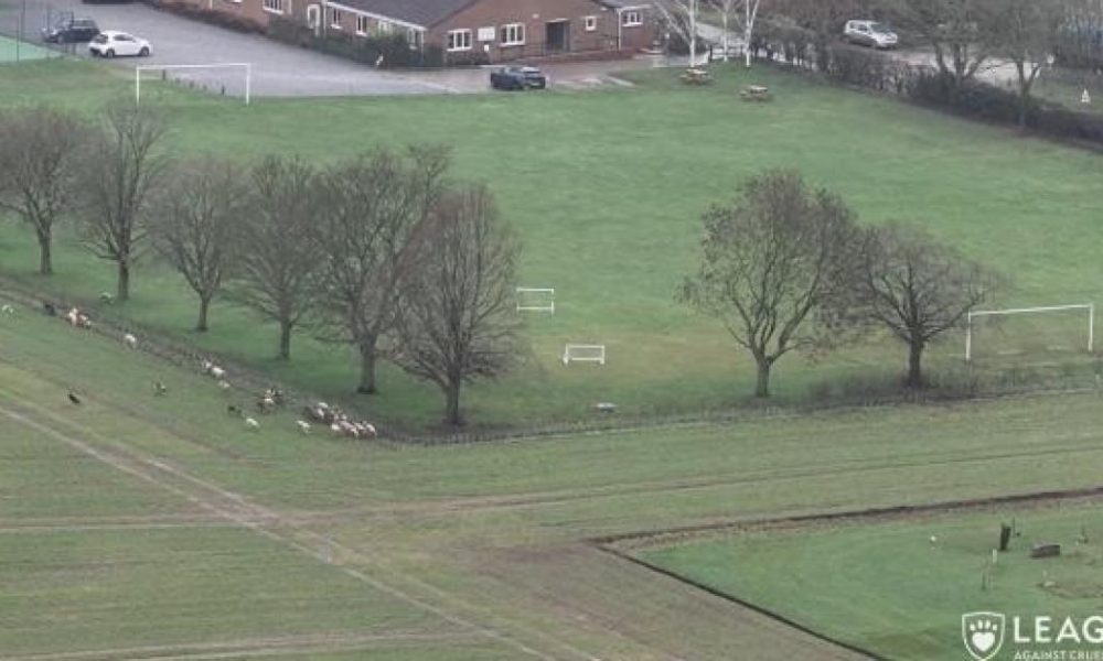 Owner of Mowthorpe Garden of Rest defends hunt on land