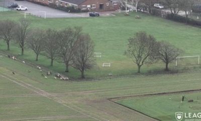 Owner of Mowthorpe Garden of Rest defends hunt on land