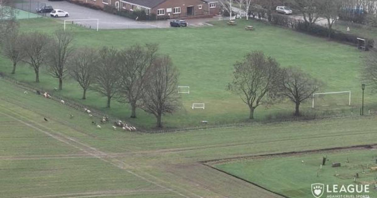 Owner of Mowthorpe Garden of Rest defends hunt on land