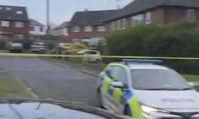 2 dogs detained and girl, 10, hospitalised in Bolton attack