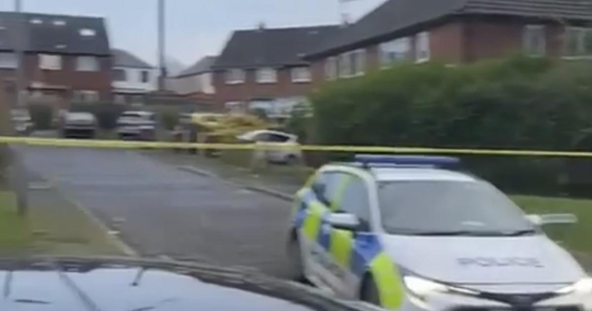 2 dogs detained and girl, 10, hospitalised in Bolton attack