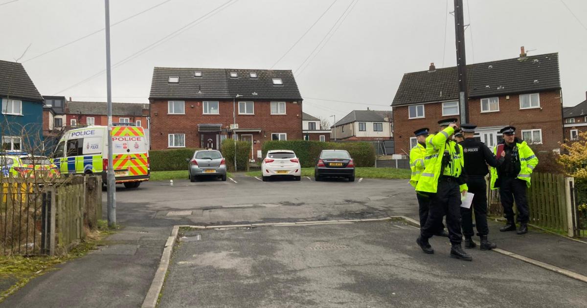 Neighbours tell of moment girl, 10, mauled by dog in Bolton