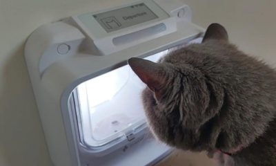 Northumberland brothers to pitch AI cat flap on Dragons' Den