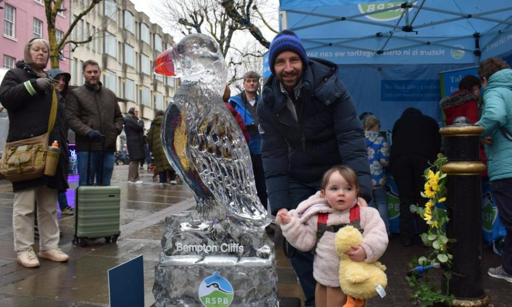 York Ice Trail 2026 - here's what visitors are saying