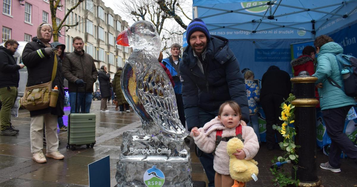 York Ice Trail 2026 - here's what visitors are saying