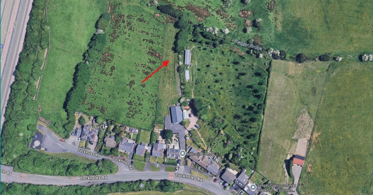 Tockholes village set to get a new dog exercise area