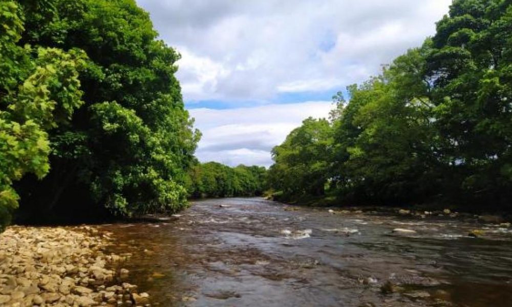 River Swale, Richmond, is proposed new swimming spot