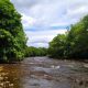 River Swale, Richmond, is proposed new swimming spot