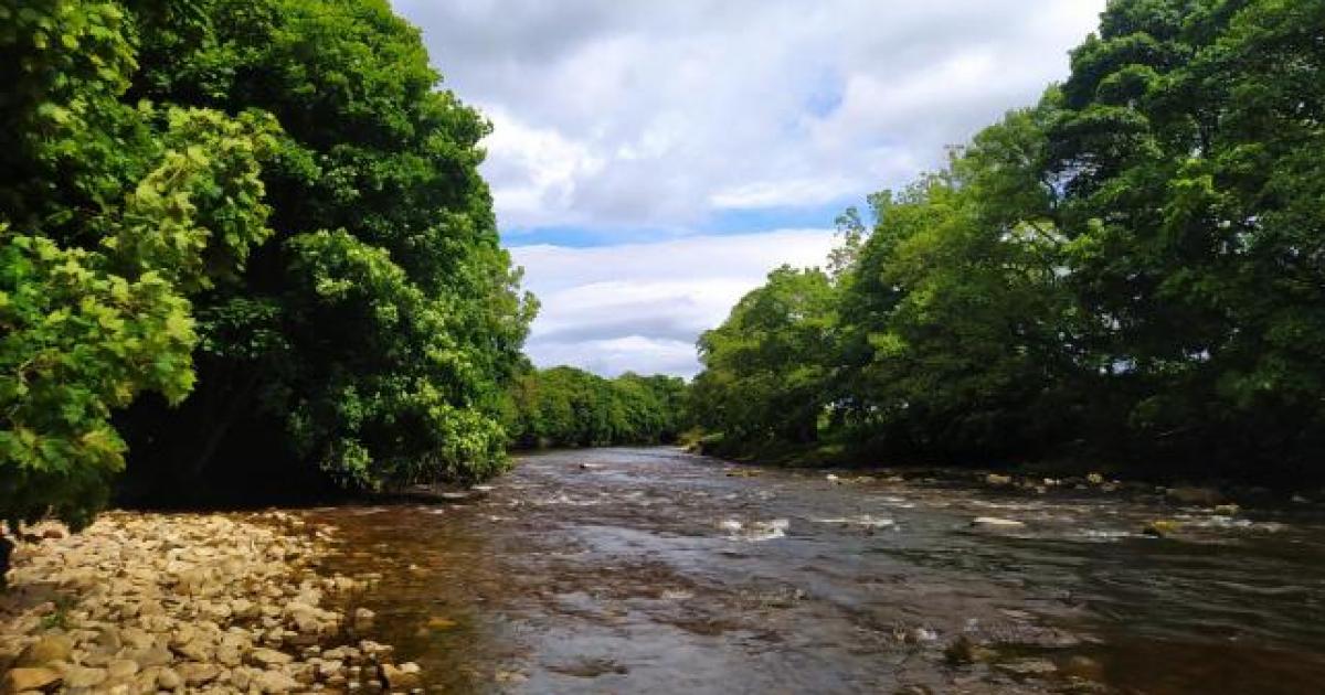 River Swale, Richmond, is proposed new swimming spot