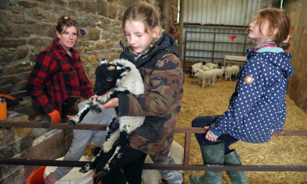 What’s next for the children of Our Farm Next Door?