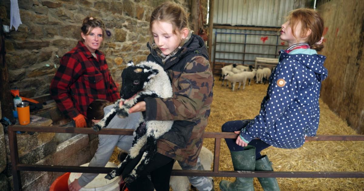 What’s next for the children of Our Farm Next Door?