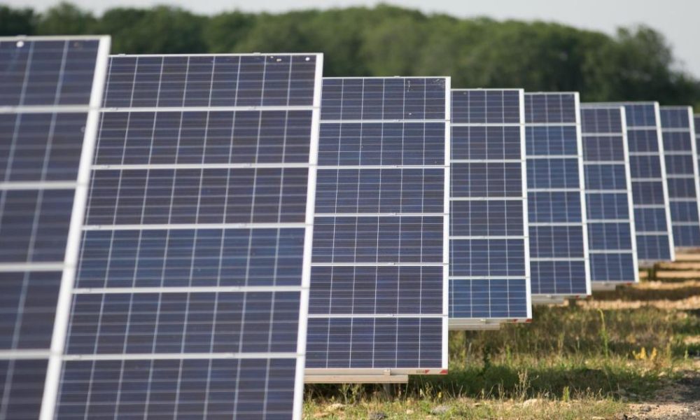 County Durham solar farm schemes questioned by Reform
