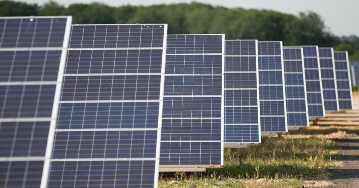 County Durham solar farm schemes questioned by Reform